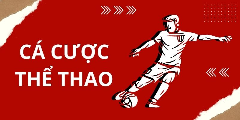 Bạn không thể không chú ý đến các hình thức cá cược thể thao chất lượng cao