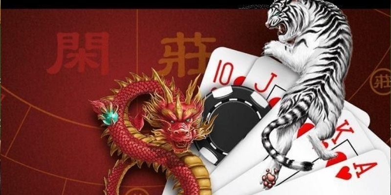 Người mới cần nắm rõ cách thức chơi rồng hổ Người mới cần nắm rõ cách thức chơi rồng hổ